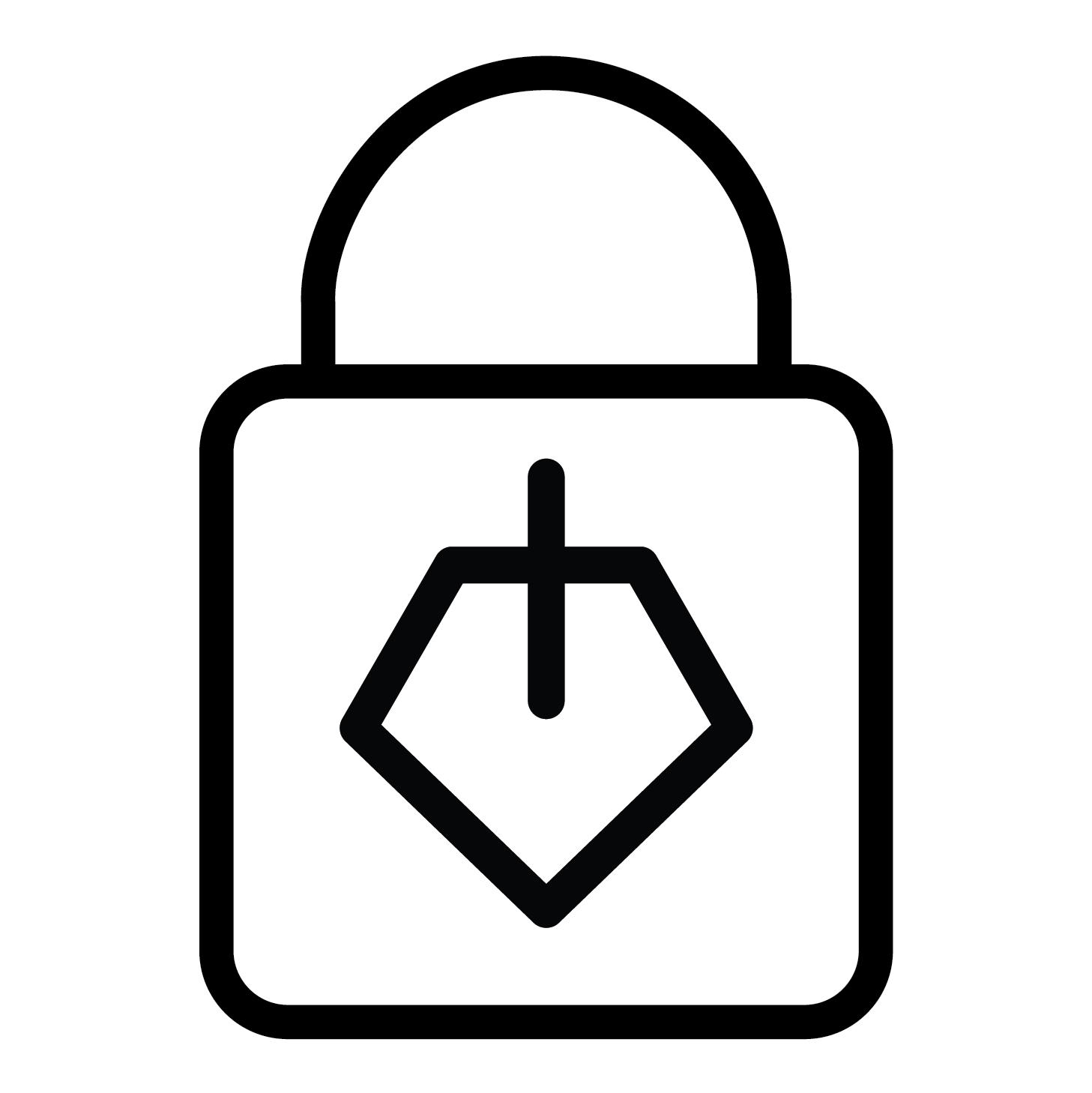 Privacy and Security